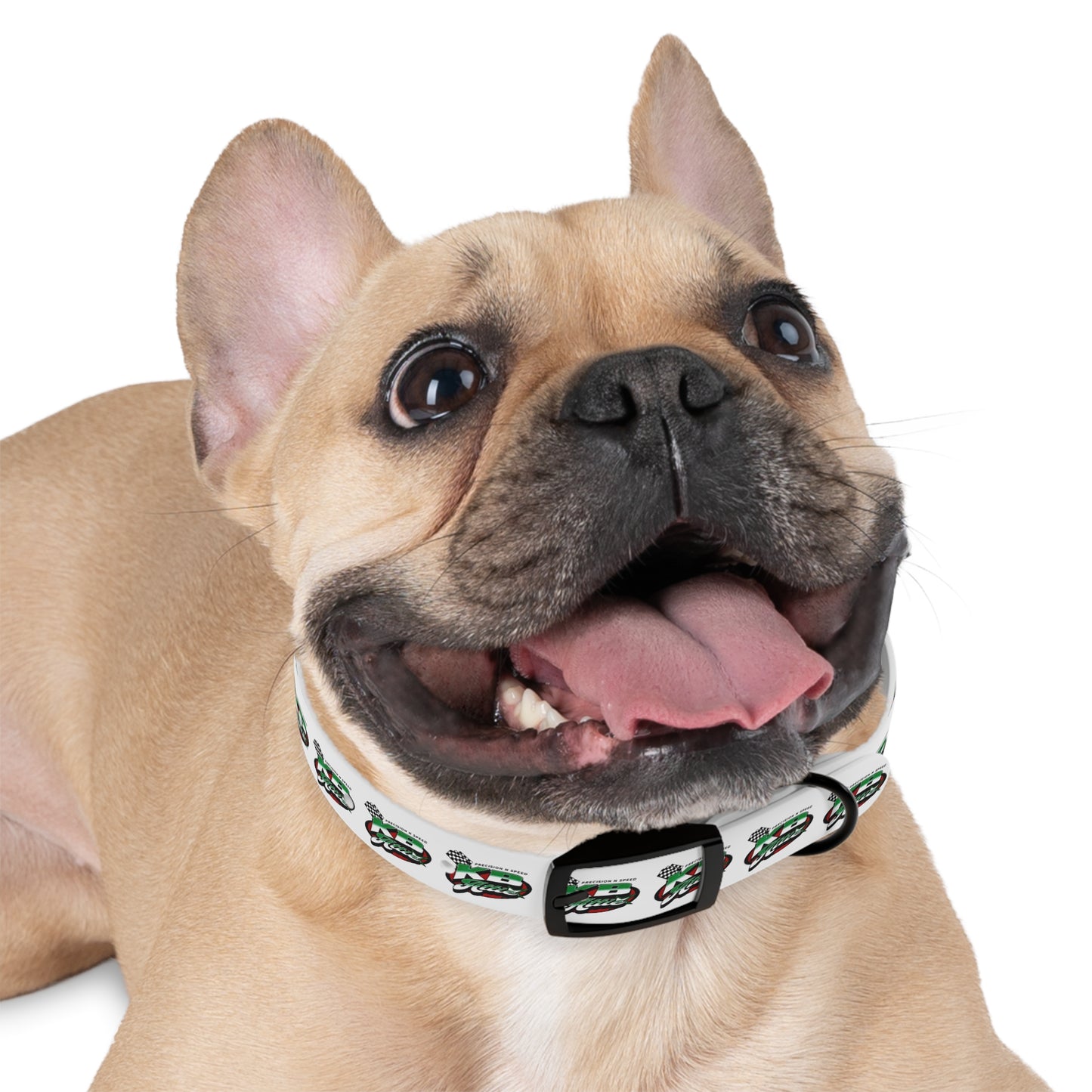 KB Attire Race-Themed Dog Collar