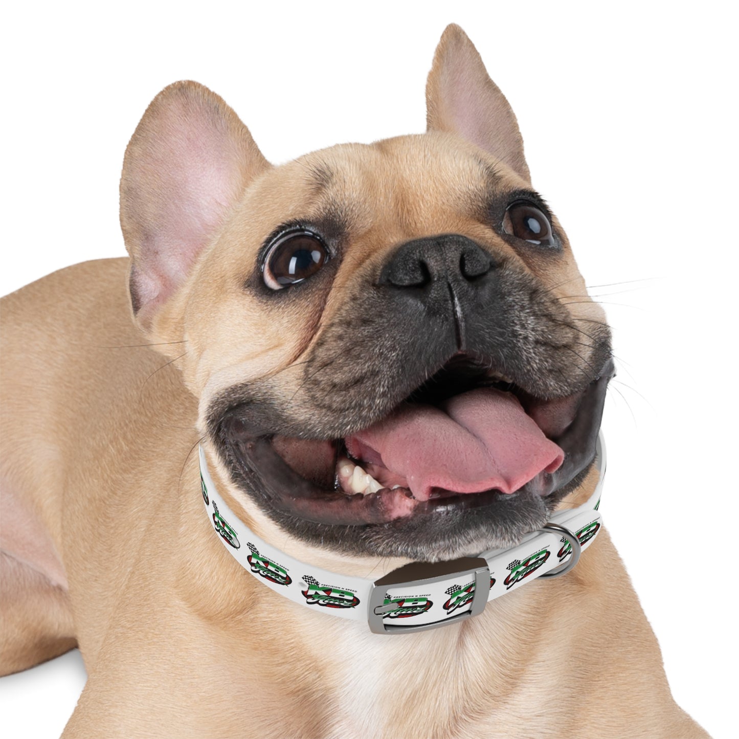 KB Attire Race-Themed Dog Collar