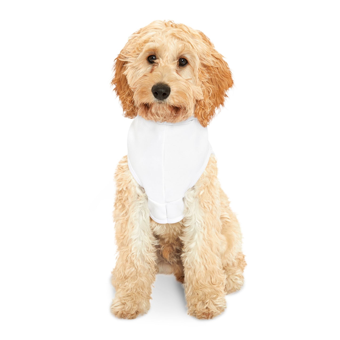 KB Attire "Cartoon" Pet Hoodie