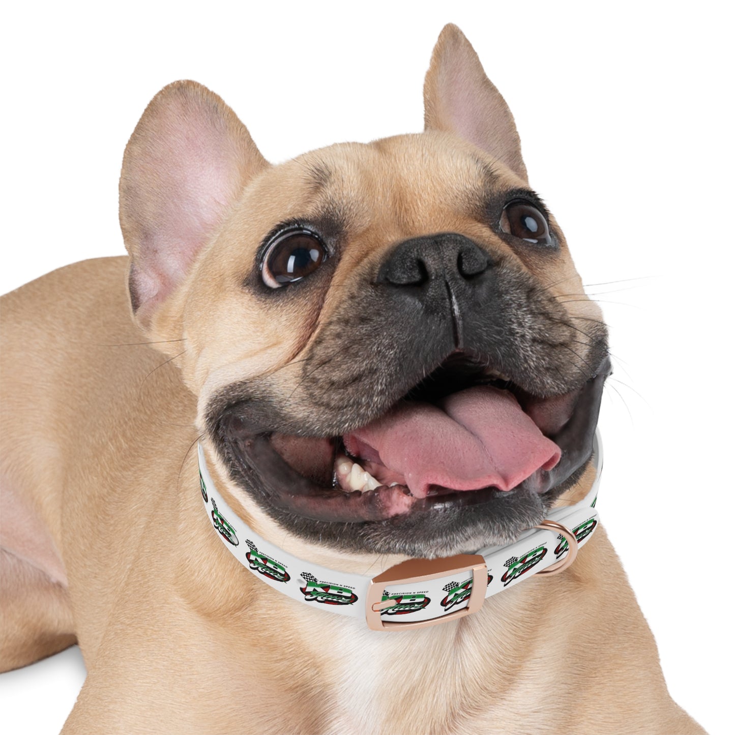 KB Attire Race-Themed Dog Collar